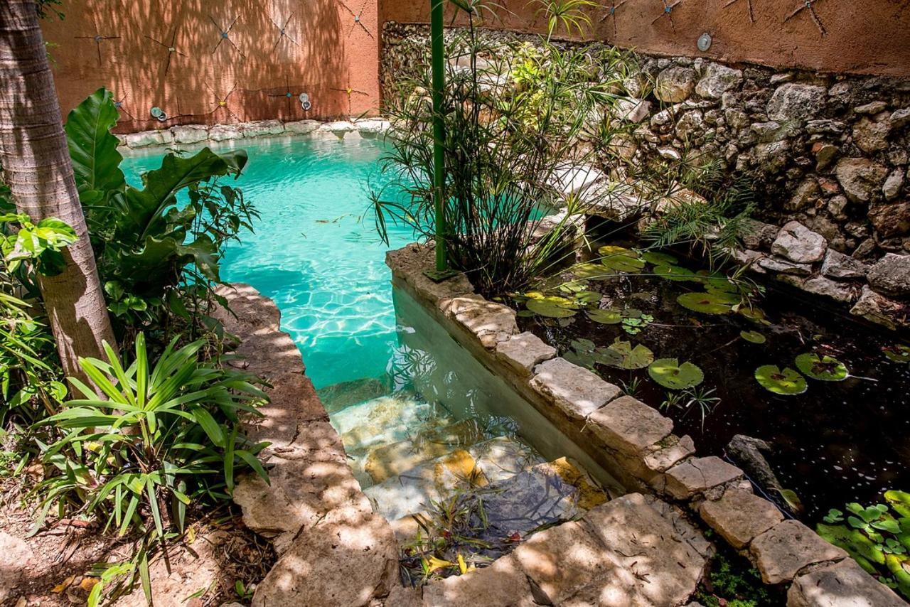 La Selva By Majikal B&B Mérida Zewnętrze zdjęcie