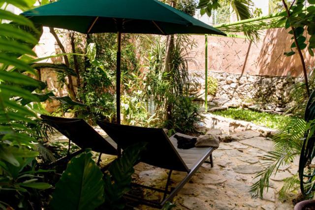 La Selva By Majikal B&B Mérida Zewnętrze zdjęcie