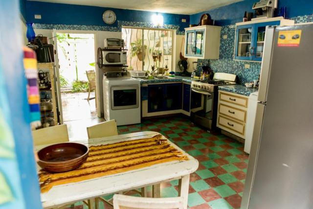 La Selva By Majikal B&B Mérida Zewnętrze zdjęcie