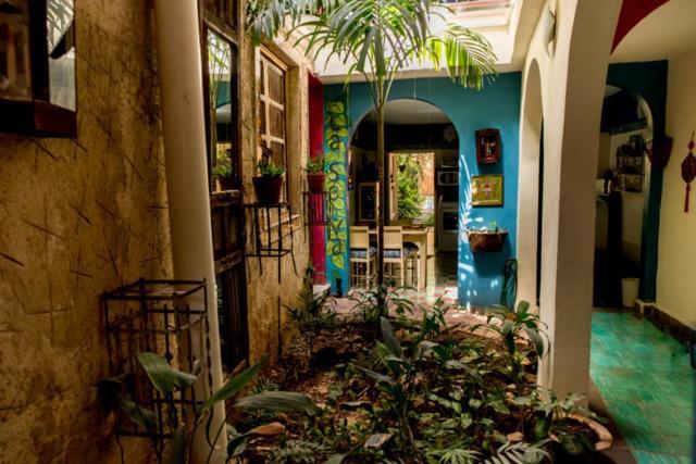 La Selva By Majikal B&B Mérida Zewnętrze zdjęcie