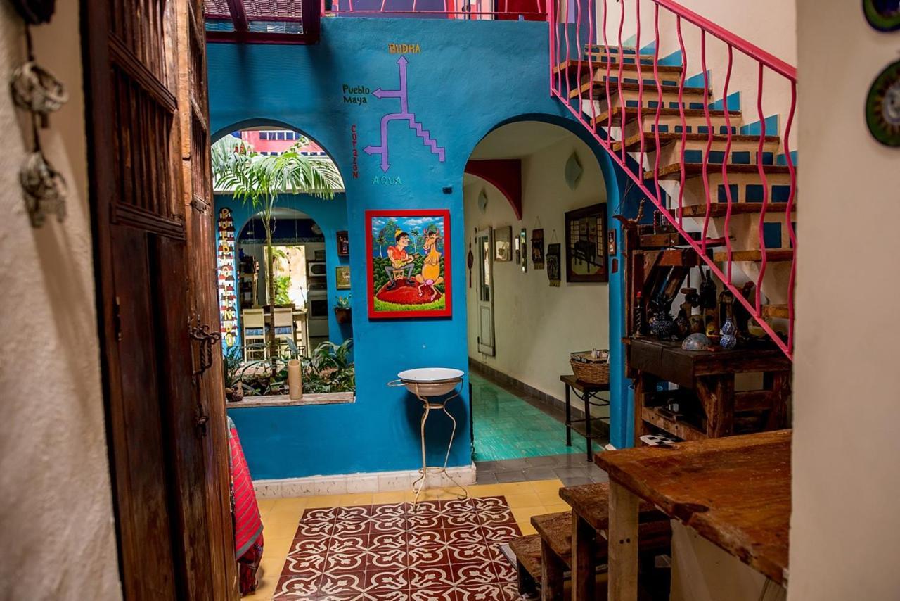 La Selva By Majikal B&B Mérida Zewnętrze zdjęcie