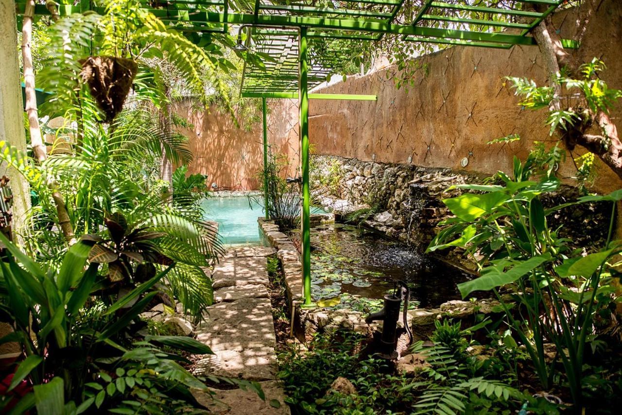 La Selva By Majikal B&B Mérida Zewnętrze zdjęcie
