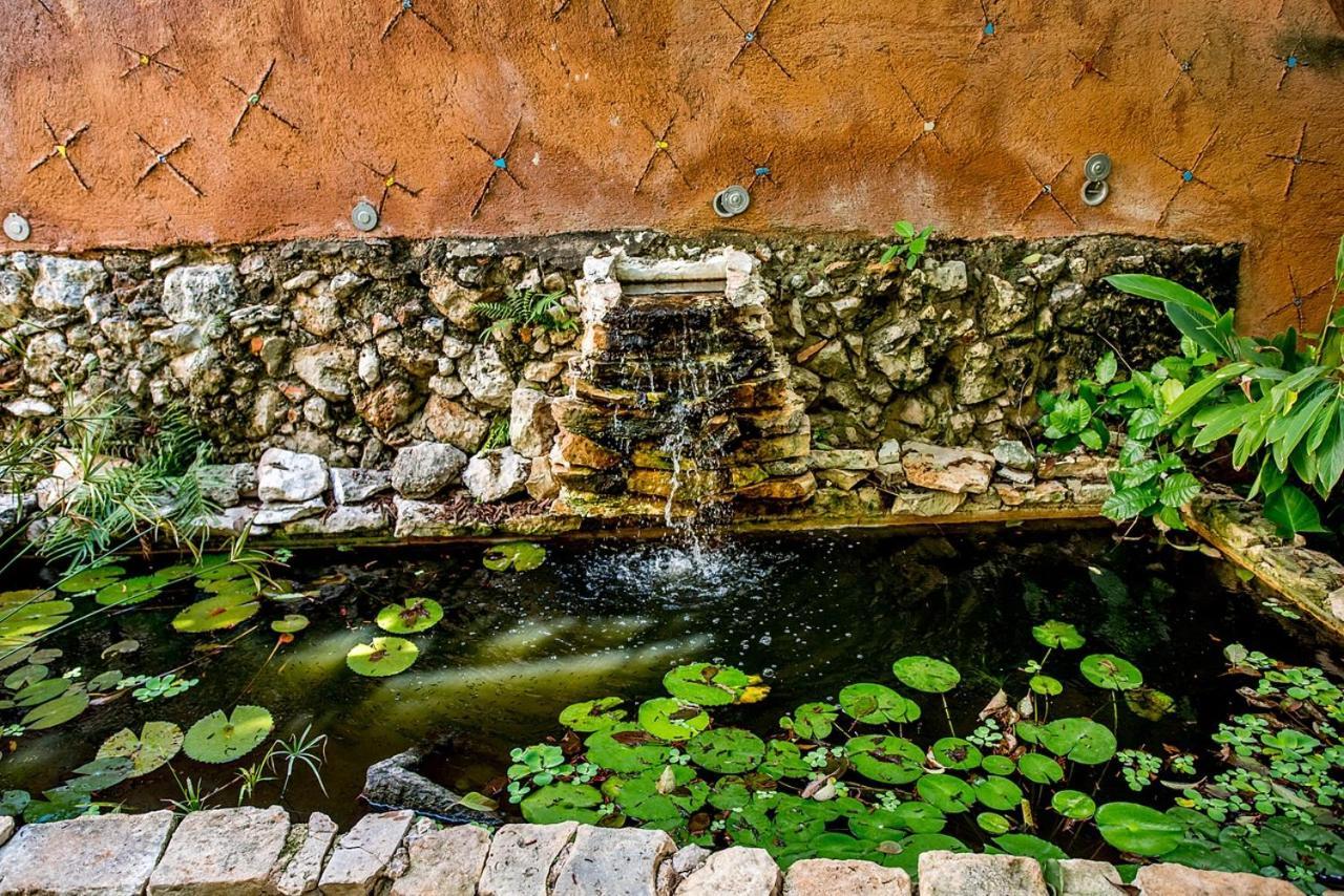 La Selva By Majikal B&B Mérida Zewnętrze zdjęcie